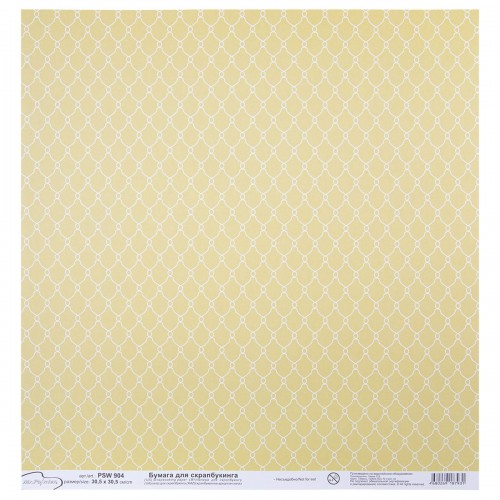 Бумага для скрапбукинга "Mr.Painter"   PSW   180 г/кв.м  30.5 x 30.5 см  10 шт.  СК/Распродажа (270)904 сетка