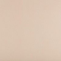 Фетр "Gamma"   Premium   FKS12   Фетр   1.2 мм  111 см ± 2 см ( в ярдах ) 808 св.бежевый