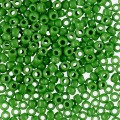 №0047 т.салатовый
