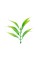 Искусственное растение "Blumentag"   GPT-06   Декоративные элементы для садовых композиций "Веточки"   6 х  4 шт. 10