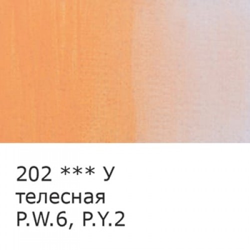 Краска масляная "VISTA-ARTISTA"   Studio   VAOS-45   45 мл  3 шт. 202 Телесная (Flesh)