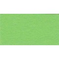 21 х 29.7 см 25 шт. 51 светло-зеленый (light green)