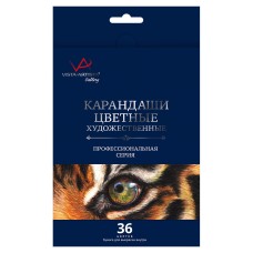 "VISTA-ARTISTA"   "Gallery"   VGCP-36   Набор цветных  карандашей   заточенный   4 х  36 цв. .