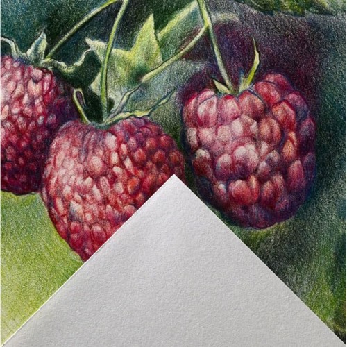 "Canson"   Альбом для смешанных техник "Graduate Drawing"   160 г/м2  A4   склейка с одной стороны   30 л. C400110365