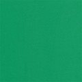 FOAM-2 Пластичная замша 2 мм 50 x 50 см 5 шт. 16 зеленый