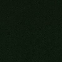 Фетр "Gamma"   Premium   FKR10   Фетр   1 мм  111 см ± 2 см RN20 т.зеленый