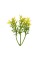 Искусственное растение "Blumentag"   GPT-06   Декоративные элементы для садовых композиций "Веточки"   6 х  4 шт. 04