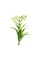 Искусственное растение "Blumentag"   GPT-06   Декоративные элементы для садовых композиций "Веточки"   6 х  4 шт. 17