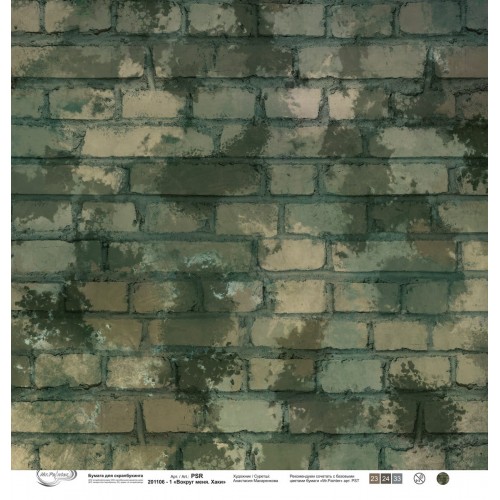 Бумага для скрапбукинга "Mr.Painter"   PSR 201106   "Вокруг меня. Хаки"   190 г/кв.м  30.5 x 30.5 см  10 шт. 1