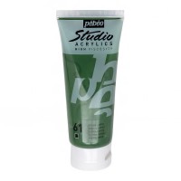 Краска акриловая "PEBEO"   Studio Acrylics   100 мл 831-061 зеленая земля