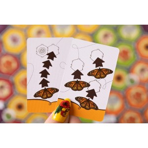 Игра настольная "Эврикус"   "Марипосас"   PG-17333 .