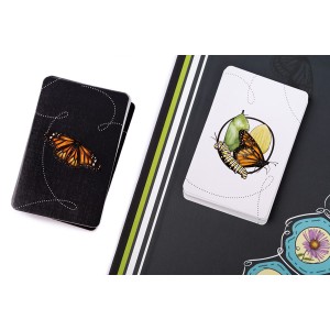 Игра настольная "Эврикус"   "Марипосас"   PG-17333 .