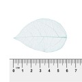 SFL-01 Листья скелетированные 2 - 6 см 5 х 10 шт. 05 голубой