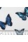 Ткань "PEPPY"   Ткань муслиновая   ФАСОВКА   EMBRACE   100\% хлопок   100 х  125 см  Shannon Fabrics empapillions royal