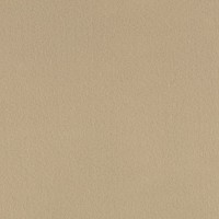 Фетр "Gamma"   Premium   FKR10-33/53   декоративный   1 мм  33 см х 53 см RN33 бежевый