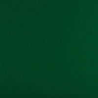 Фетр "Gamma"   Premium   FKS12-33/53   декоративный   1.2 мм  33 см х 53 см 937 зеленый