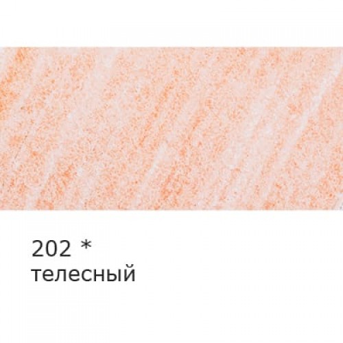 "VISTA-ARTISTA"   "INTENSE"   VICP   Карандаш цветной   заточенный   6 шт 202 телесный
