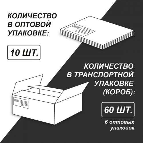"Светоч"   48Т9   Тетрадь со справочным материалом "Яркие краски",матовая ламинация +выбор. лак,   A5+   48 л.  на скобе   65 г/кв.м , белизна 100 \%  10 шт. , клетка 00868 История