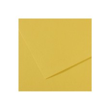 "Canson"   Бумага для пастели Mi-Teintes   160 г/м2  75 х  110 см  лист   25 л. №107 анисовый C200321487