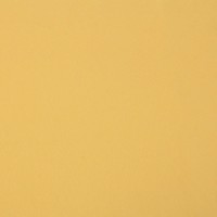 Фетр "Gamma"   А-270/350   декоративный   1 мм  30 см х 45 см 340 желто-кремовый
