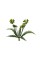 Искусственное растение "Blumentag"   GPT-06   Декоративные элементы для садовых композиций "Веточки"   6 х  4 шт. 06