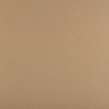 Фетр Gamma Premium FKS12-33/53 декоративный 1.2 мм 33 см х 53 см 814 бежевый