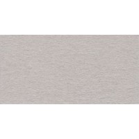 "VISTA-ARTISTA"   Бумага цветная   TPO-A4   120 г/м2  A4   21 х  29.7 см  50 шт. 80 светло-серый (light grey)