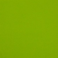 Фетр "Gamma"   А-270/350   декоративный   1 мм  30 см х 45 см 235/4 салатовый