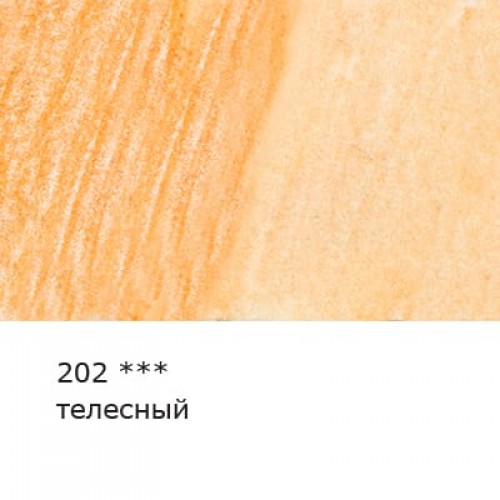 "VISTA-ARTISTA"   "Gallery"   VGWP   Карандаш акварельный художественный   заточенный   6 шт. 202 Телесный (Flesh)