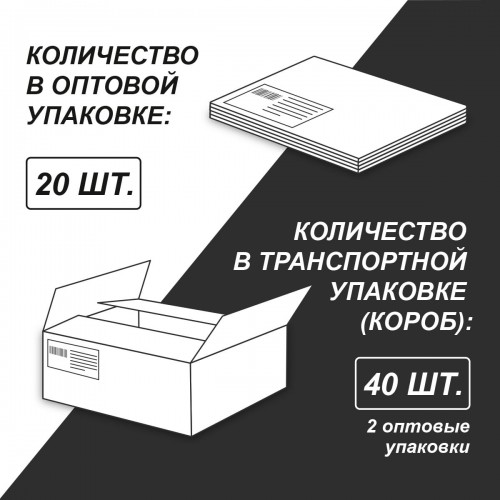 "Светоч"   Альбом для рисования   100 г/м2  A4   29 х  20.5 см  24 л.  на скобе   20 шт. 24АЛСК4_000204 Живи на полную