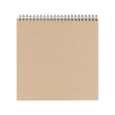 "Mr.Painter"   ZKL-03   Заготовка для альбома (на пружинке)   1250 г/кв.м  20 x 20 см  5 л. 01 Серебристая пружина