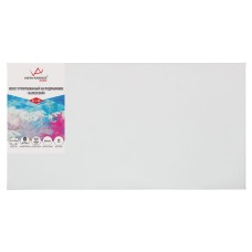 Холст грунтованный на подрамнике "VISTA-ARTISTA"   PLMG-2550   100\% лён   25 х  50 см  390 г/кв.м  2 шт Залесский среднезернистый