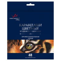 "VISTA-ARTISTA"   "Gallery"   VGCP-48   Набор цветных  карандашей   заточенный   4 х  48 цв. .