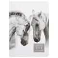 200 г/м2 20.3 х 14.5 см твердый переплет 40 л. 04_Horses in white
