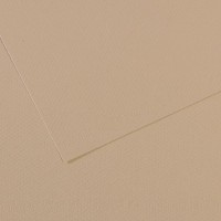 "Canson"   Бумага для пастели Mi-Teintes   160 г/м2  21 х  29.7 см  лист   25 л. №343 Серо-бежевый C31032S014