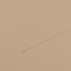 "Canson"   Бумага для пастели Mi-Teintes   160 г/м2  21 х  29.7 см  лист   25 л. №343 Серо-бежевый C31032S014