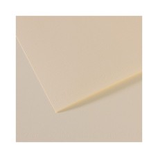 "Canson"   Бумага для пастели Mi-Teintes   160 г/м2  75 х  110 см  лист   25 л. №110 лилия C200321327