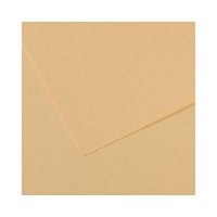 "Canson"   Бумага для пастели Mi-Teintes   160 г/м2  75 х  110 см  лист   25 л. №407 кремовый C200321127