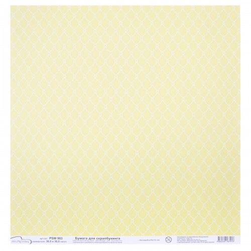 Бумага для скрапбукинга "Mr.Painter"   PSW   180 г/кв.м  30.5 x 30.5 см  10 шт.  СК/Распродажа (270)903 сетка