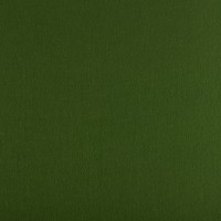 Фетр "Gamma"   Premium   FKS12-33/53   декоративный   1.2 мм  33 см х 53 см 934 оливковый