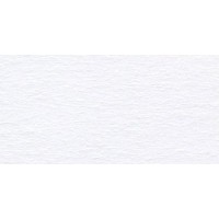 "VISTA-ARTISTA"   Бумага цветная   TKO-A4   300 г/м2  A4   21 х  29.7 см  25 шт. 01 белый (white)