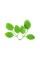 Искусственное растение "Blumentag"   GPT-06   Декоративные элементы для садовых композиций "Веточки"   6 х  4 шт. 15