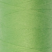 Швейные нитки (полиэстер) 40/2   "Gamma"   10 шт  365 м  400 я №542 пастельно-зеленый