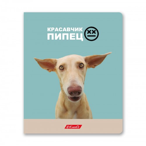 "Светоч"   48ТСК5_3_1   Тетрадь ученическая общая,   A5+   48 л.  на скобе   65 г/кв.м , белизна 100 \%  10 шт.  клетка 000334 Ужасно милые