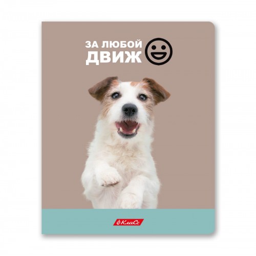 "Светоч"   48ТСК5_3_1   Тетрадь ученическая общая,   A5+   48 л.  на скобе   65 г/кв.м , белизна 100 \%  10 шт.  клетка 000334 Ужасно милые