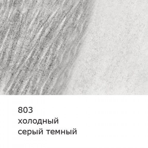 "VISTA-ARTISTA"   "Gallery"   VGWP   Карандаш акварельный художественный   заточенный   6 шт. 803 Холодный серый темный (Cold gray deep)
