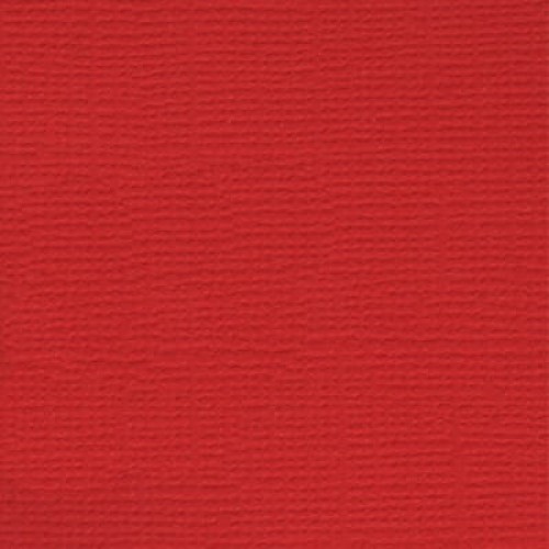 Бумага для скрапбукинга "Mr.Painter"   PST   216 г/кв.м  30.5 x 30.5 см  10 шт. 26 Лесной папоротник (т.зелёный)
