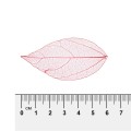 SFL-01 Листья скелетированные 2 - 6 см 5 х 10 шт. 07 красный