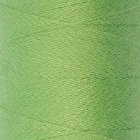 Швейные нитки (полиэстер) 40/2   "Gamma"  ( 503-602 )  4570 м №542 пастельно-зеленый