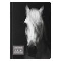 200 г/м2 20.3 х 14.5 см твердый переплет 40 л. 03_Horse in black